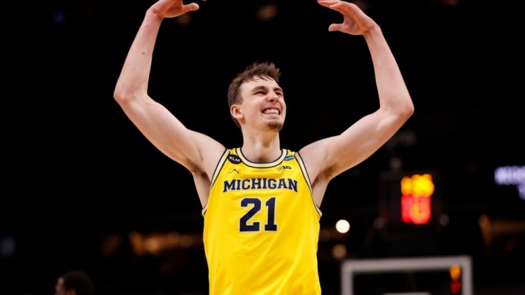 了林天植的 了林天植的