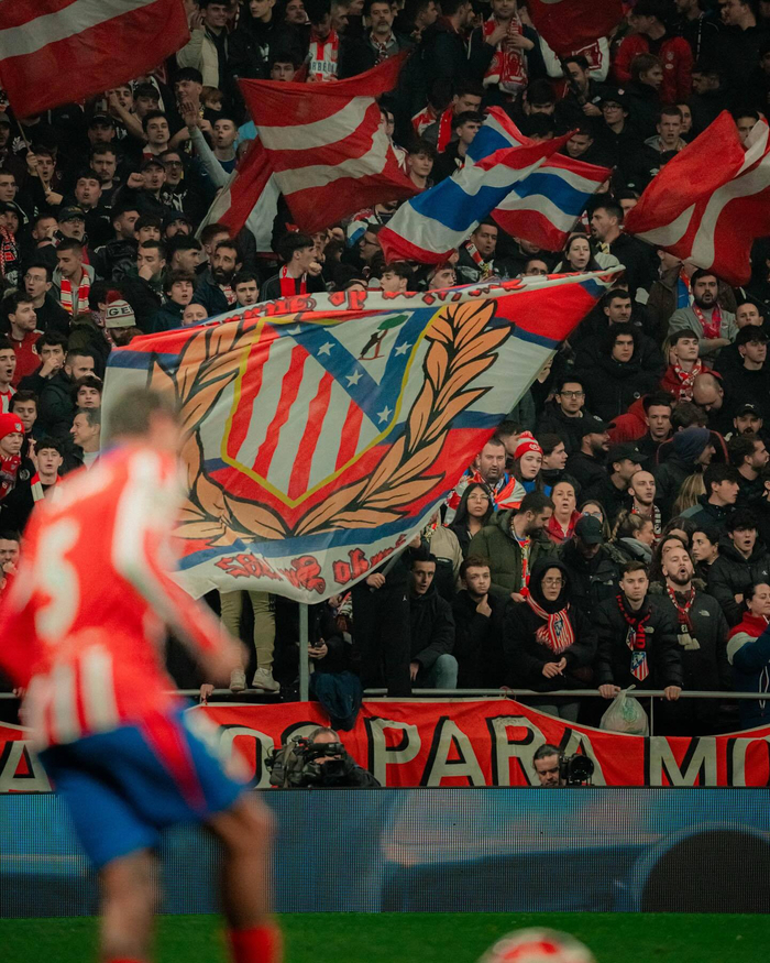 概率要手术 概率要手术